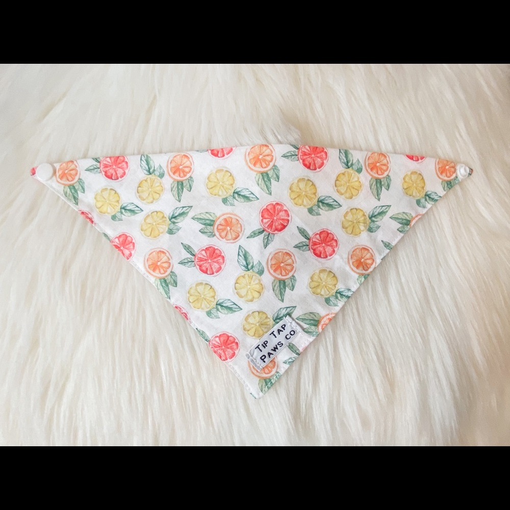 Dog Bandana